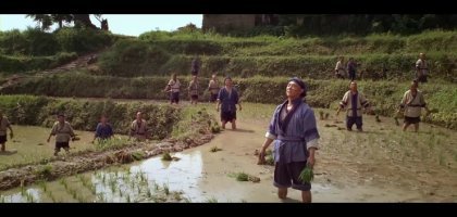 논두렁 이미지