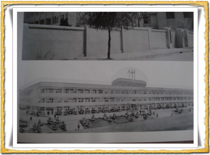 234D153C5178DD0F251D03