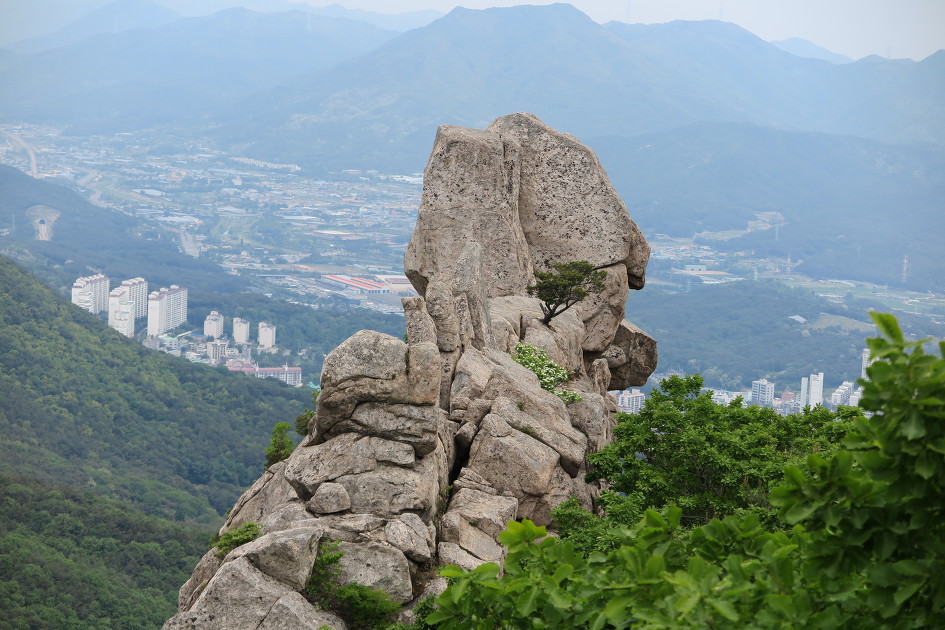 이미지