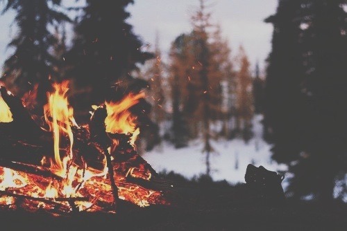  그는 정말로 낙관주의자다 내가 바다로 갔다고 믿는다 | 인스티즈