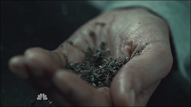 이젠홍콩인지욕망인지모르겠는미드 한니발(Hannibal) 시즌2 에피 4 Takiawase (2/3) (여러가지로주의) | 인스티즈