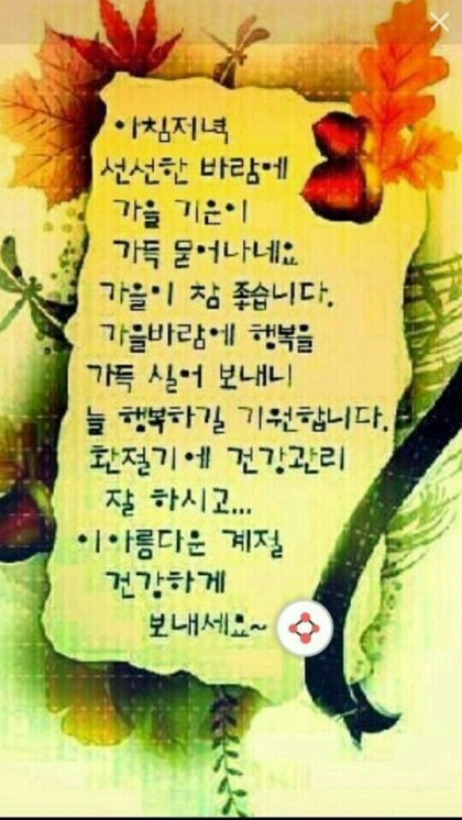 숲속의빈터 이미지