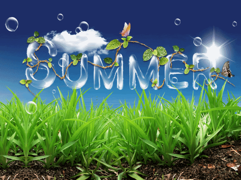 【 summer GIF 움짤이미지  】