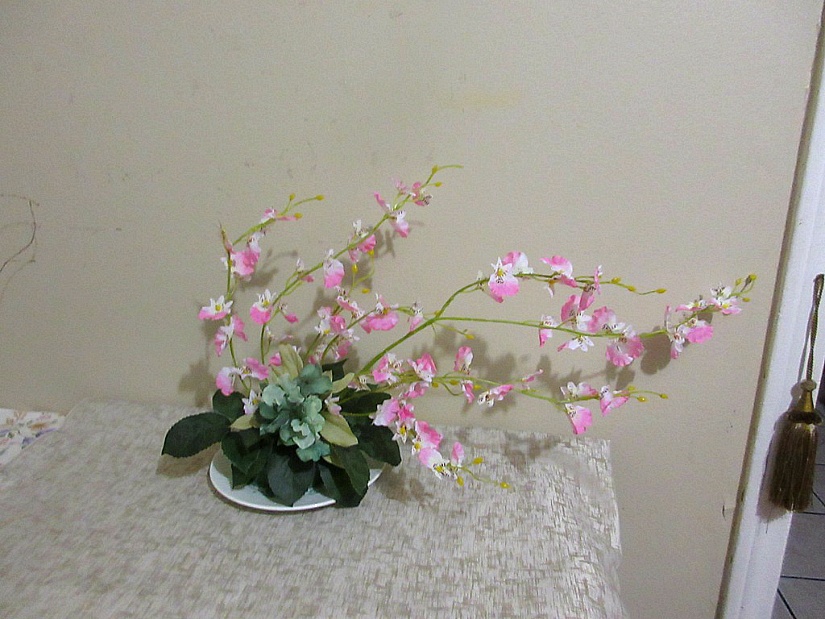 연습