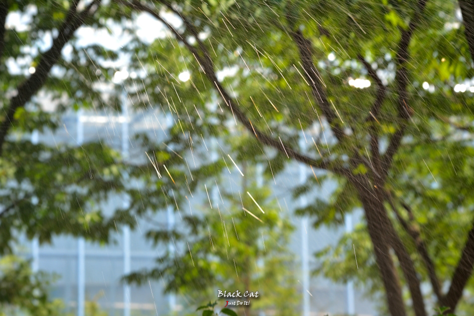 함께걸을까(Andante 110)-대구수목원