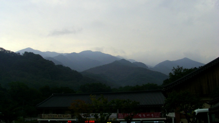 2477EB495419979E2CCBB9