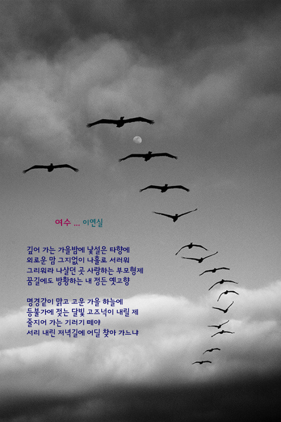 여수home 이미지