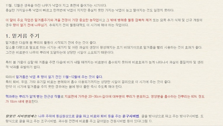 매실겨울거름주기와방제 [펌]