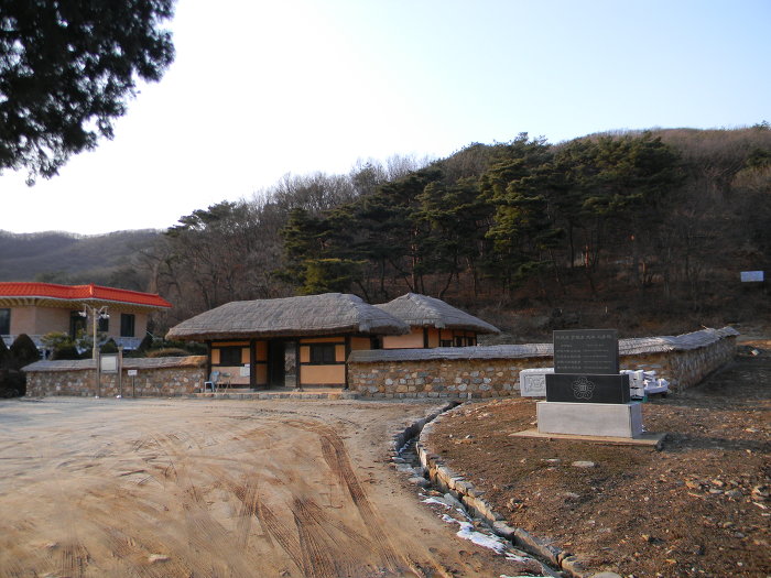 초가로 이루어진 강화도 이건창 생가 (측백나무)