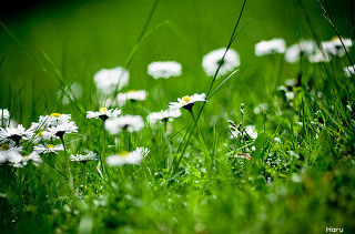 2535FF4E51A6ECEE105D30