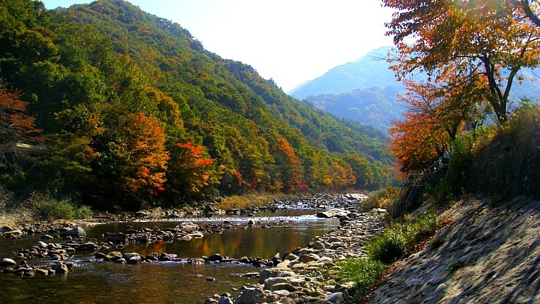 253AFD43526D232C29EE82