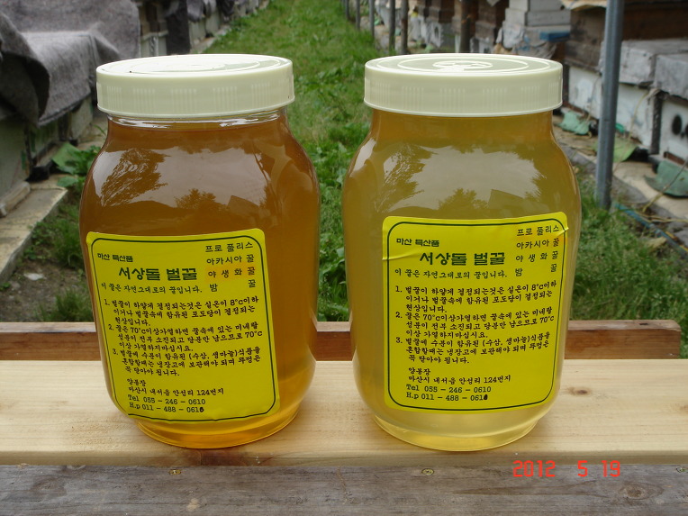 잡화화분