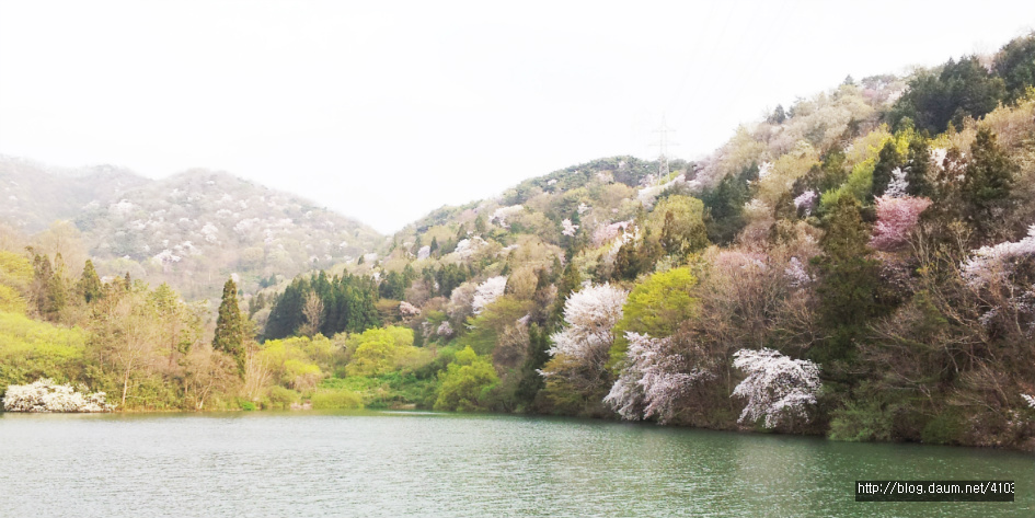 사진의 명소 화순 세량지 숲
