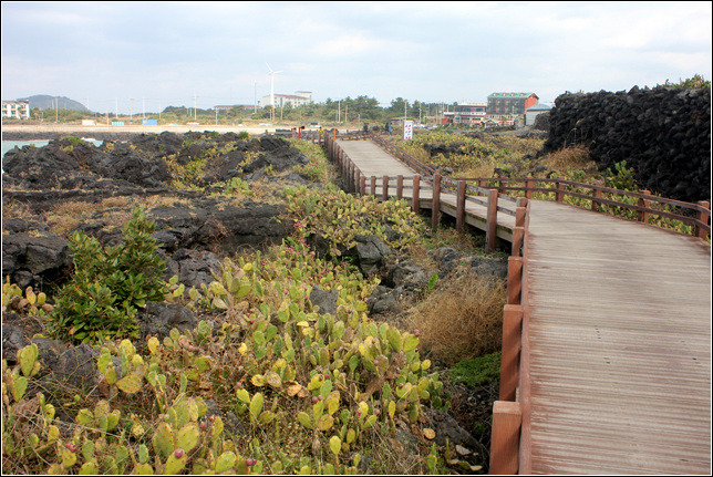 27052C4E5459C9971F6DA3