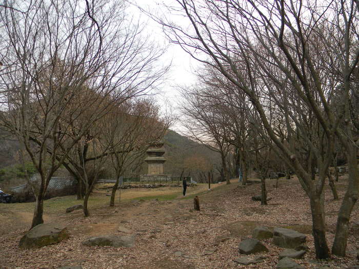 시원한 바람과 얼음이 나오는 의성 풍혈, 빙혈 (빙계군립공원)
