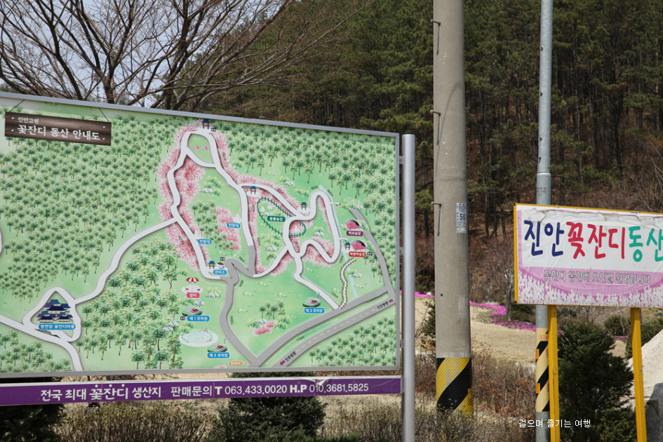 잔디와사람들 이미지