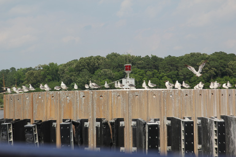 해외 여행기 - 미국여행 7일째 버지니아