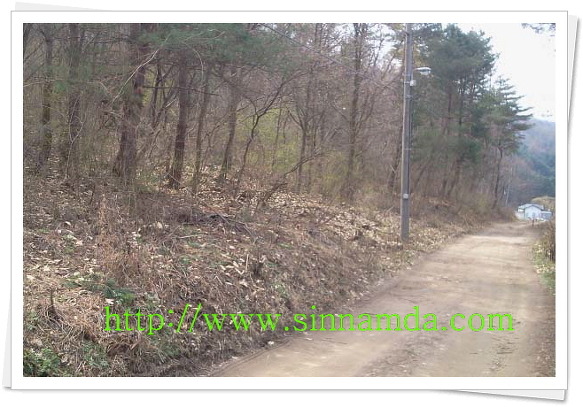 원주시 지정면 판대리 임야 매매