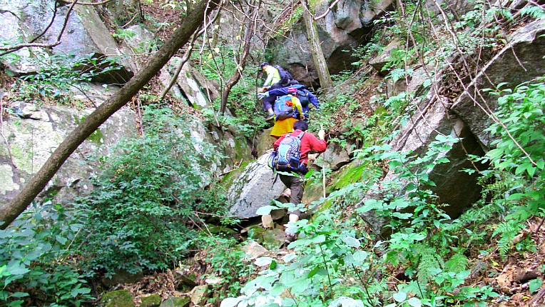 272FE93A542BEBD80DB6F7