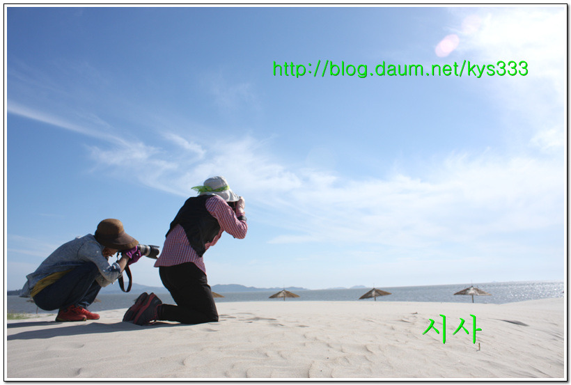 증도 바닷가 해변 바람의 흔적...2015년 6월