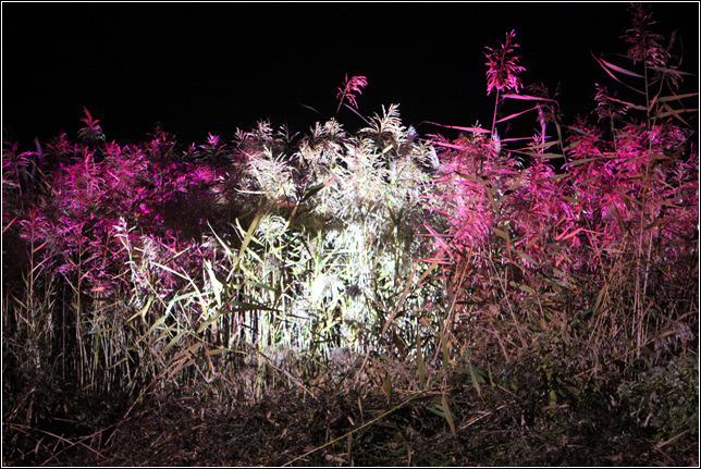 276EEE3A54478F1E17F8C9