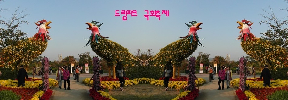 스킨파크 이미지