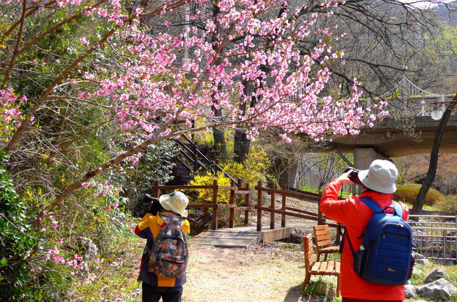앞산 공원 답사