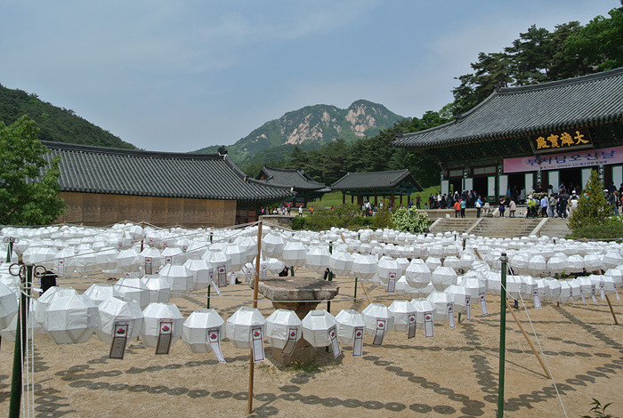 원본이미지(클릭)