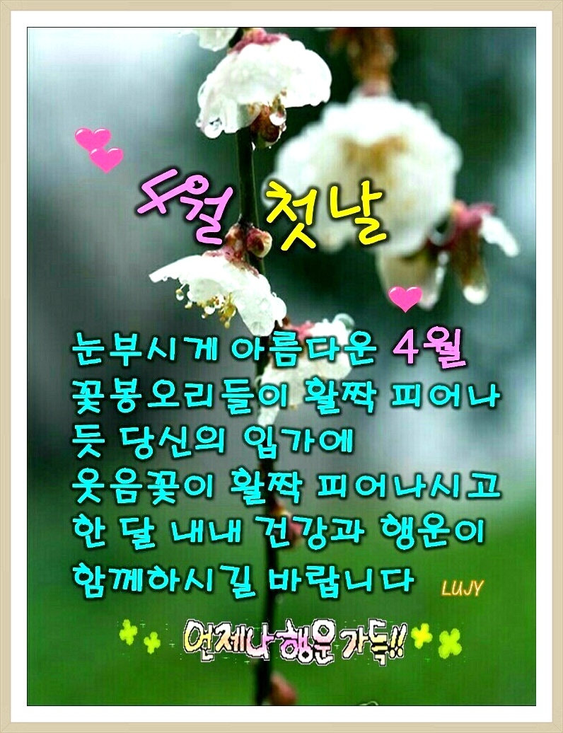 April Fool's Day 만우절 날 벗꽃천국 앞산공원 시인의 길을 걷다~~**