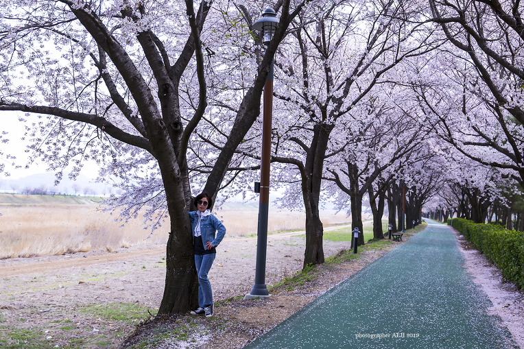 2019-04-07-벚꽃사랑이 가득한 날
