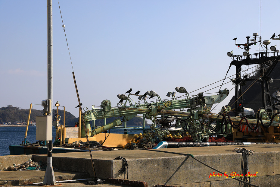 대마도..2019.01.19~20