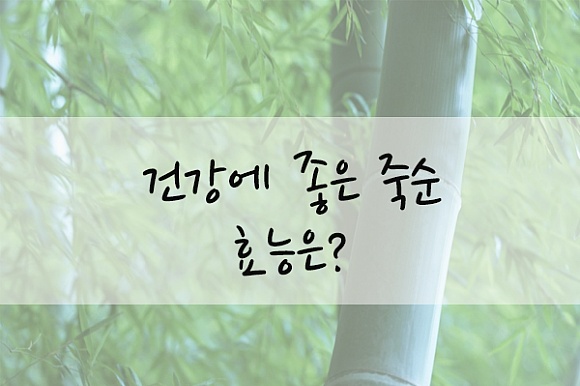 건강에 좋은 죽순 효능