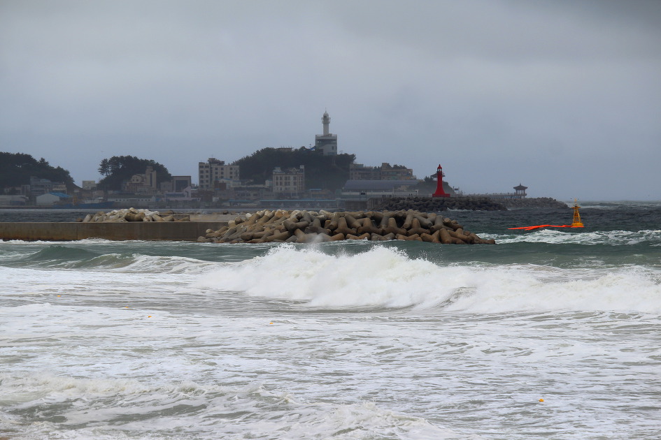 속초 해수욕장에서 성난 파도를 만났습니다.