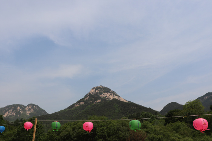 원본이미지(클릭)