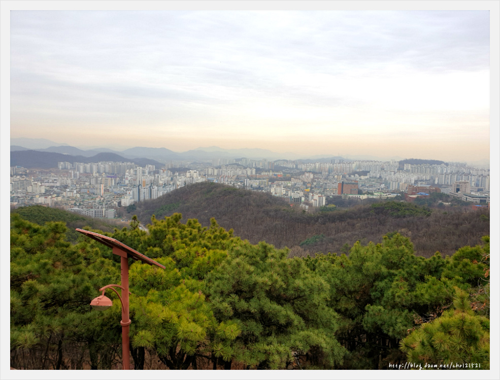 부천 원미산 진달래축제를 가다 ^^