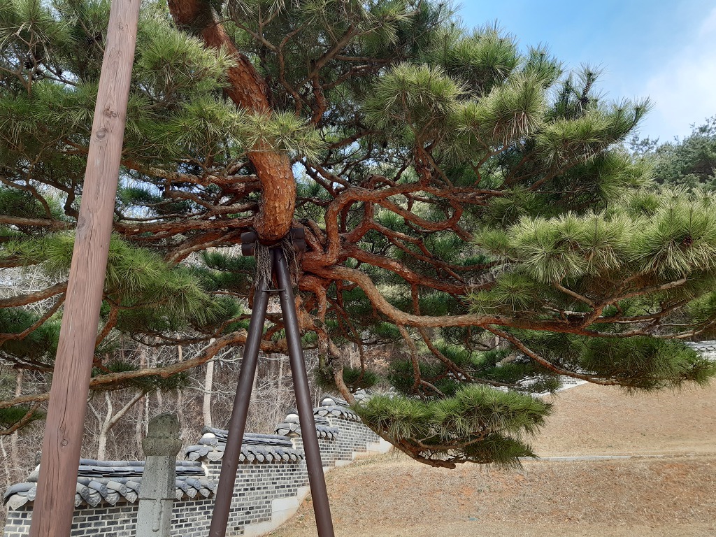 청소장군 이미지
