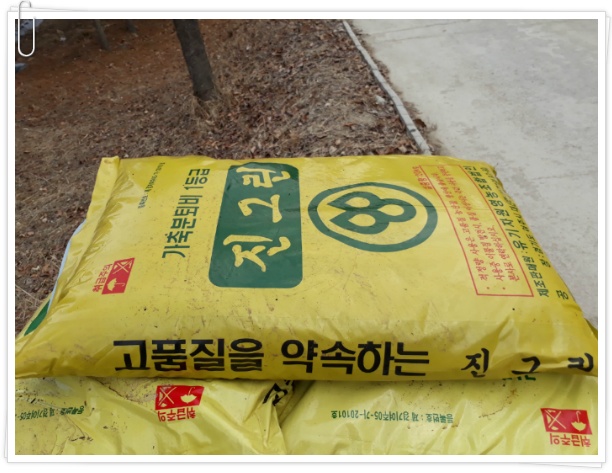 (여주게스트하우스 산새랑) 2019 감자심기