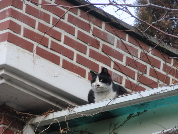잘 먹었어! 갑수의 고공 인사