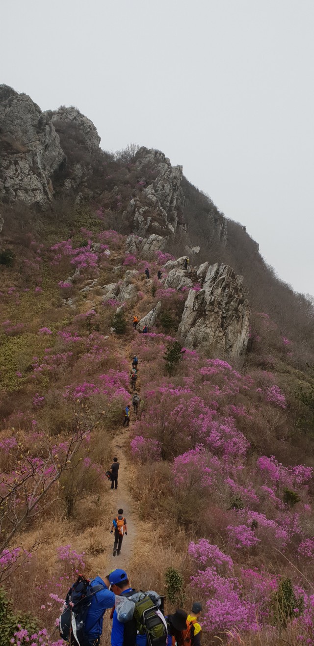 덕룡산2019,4,7)