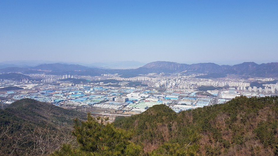 불모산과 장복산 꽃길만 걸었다
