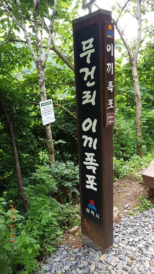 육백산/무건리 이끼계곡..