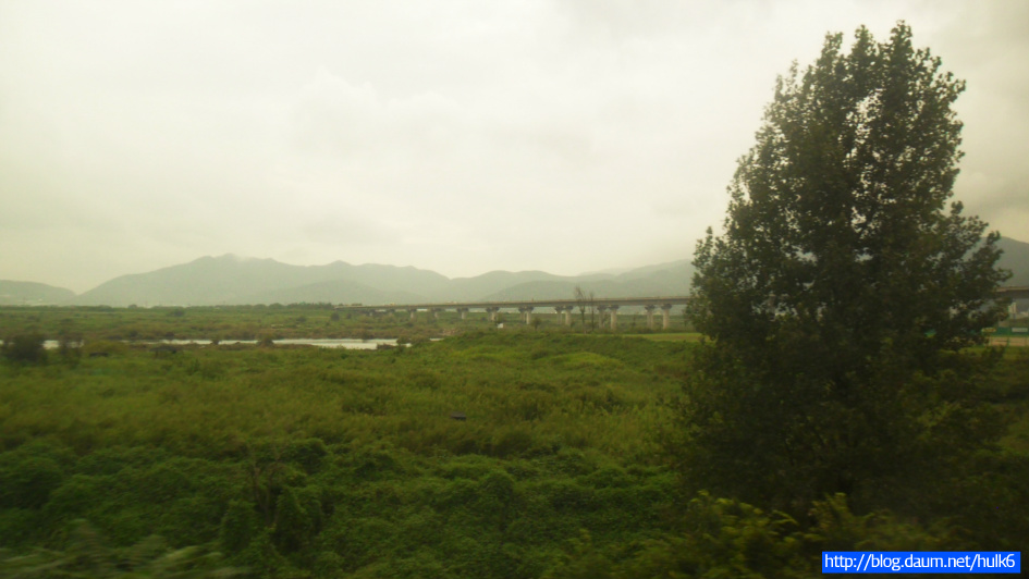 【KORAIL】『부산-수원』무궁화호 탑승外