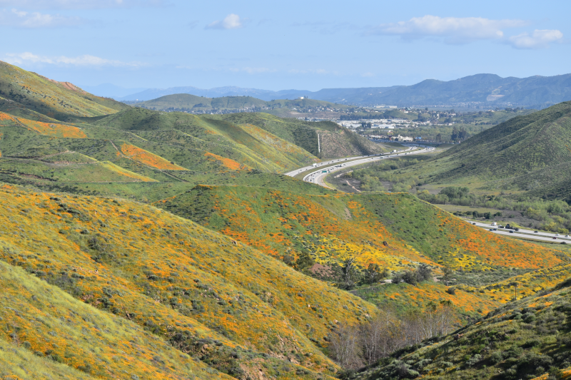 Elsinore-Walker Canyon / Poppy Fields