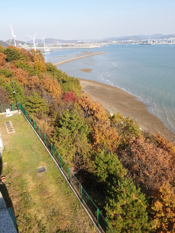 경기도 안산여행 탄도항과 누에섬등대전망대