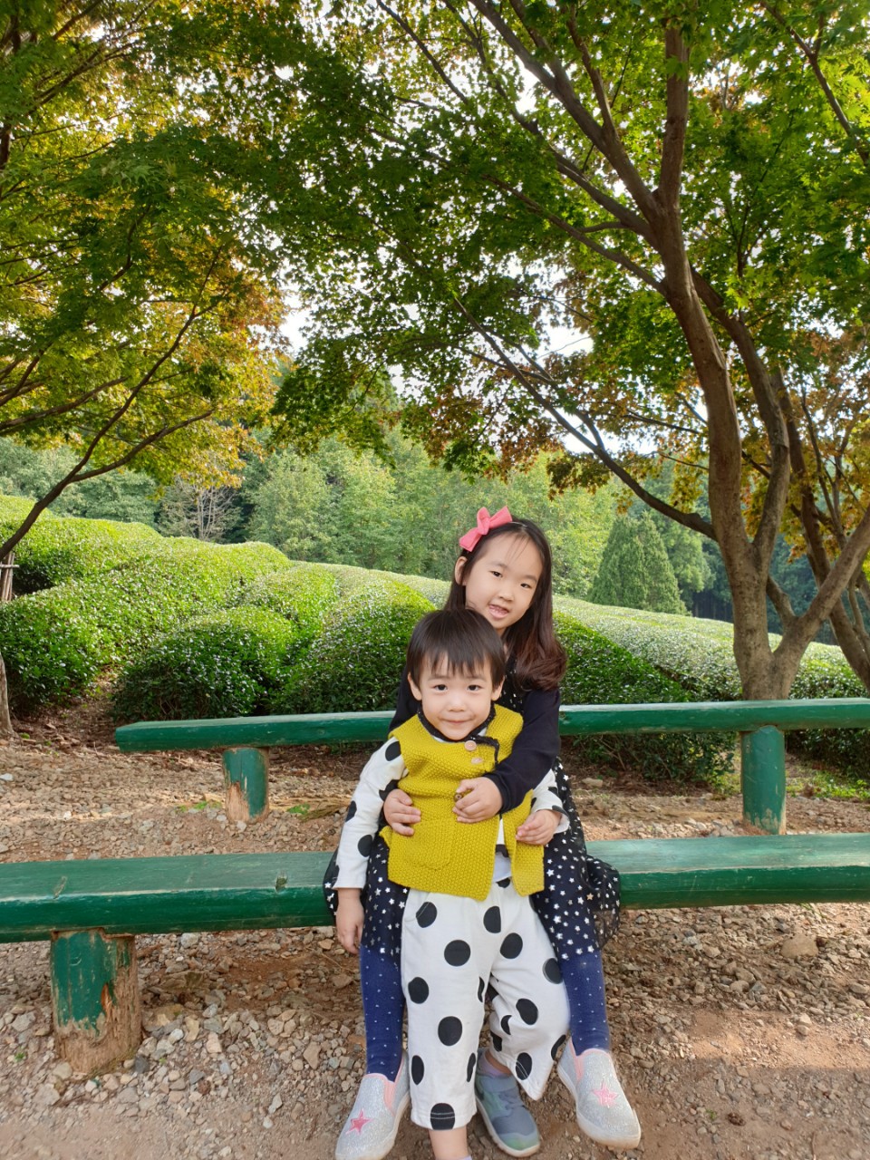 예쁜 강아지들