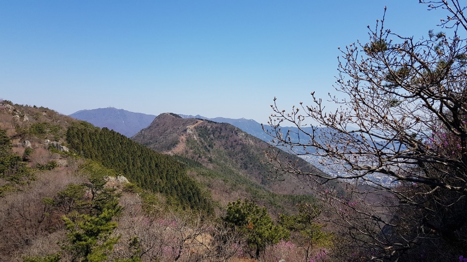 불모산과 장복산 꽃길만 걸었다