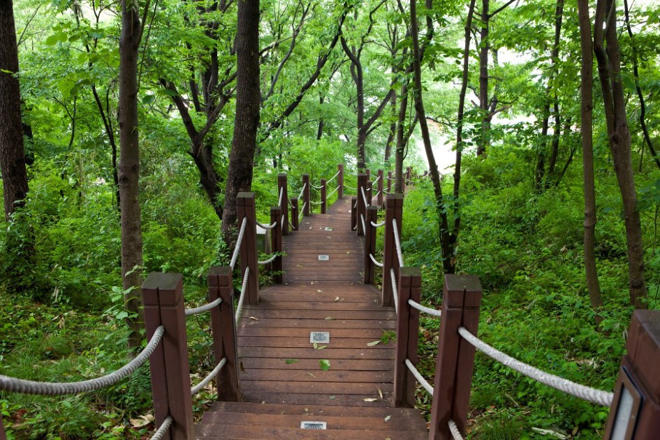 트레일, 하이킹, 트레킹, 등산 차이점