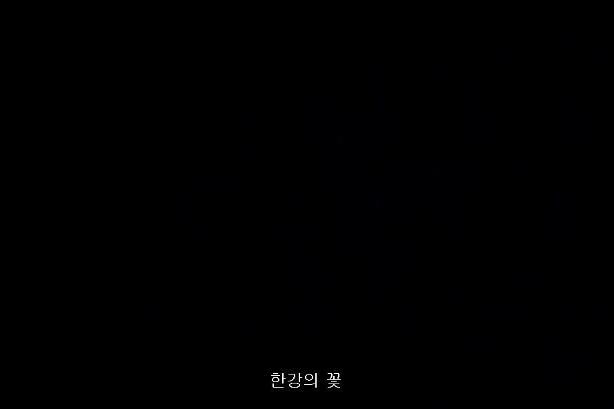 개기월식