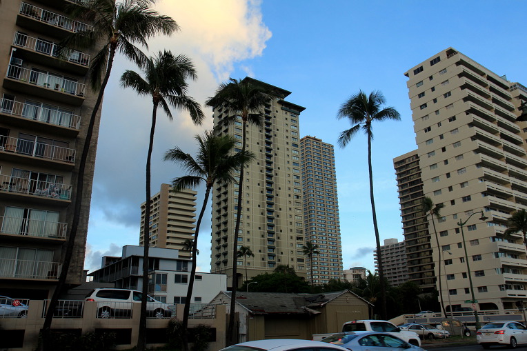 * 하와이 골프여행기(3) 