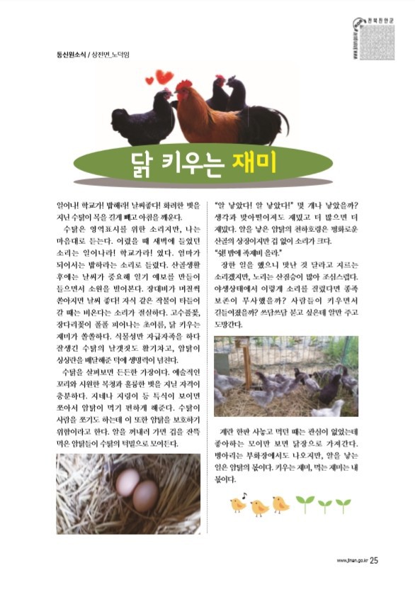 닭 키우는 재미  18년 6월 원고 